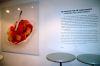 Currywurst-Museum-Berlin-2017-170120-DSC_9318.jpg